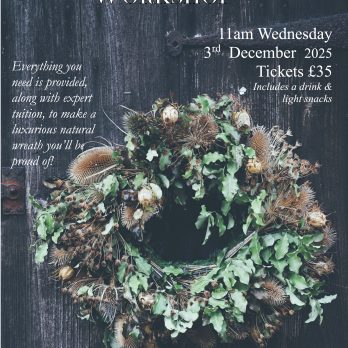 Willow Wreath Making Experience